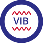 Icon-Vibrationsdämpfung